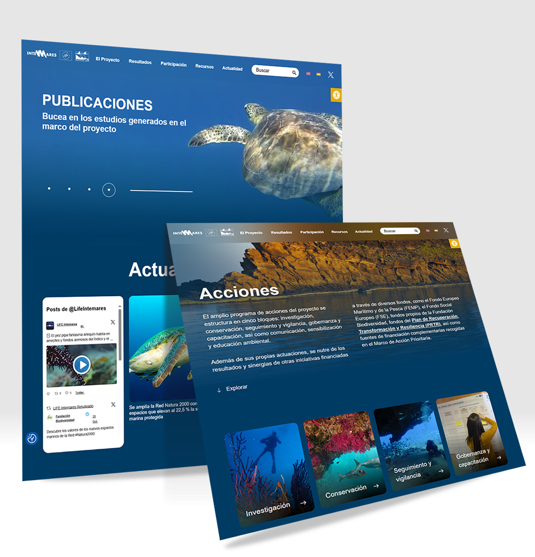Web Wordpress