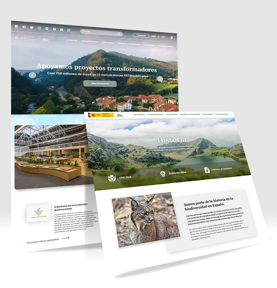 Web Wordpress